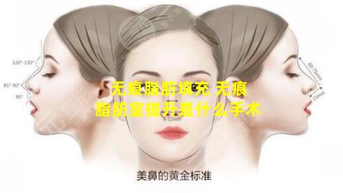 无痕脂肪填充 无痕脂肪室提升是什么手术